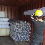 Loading-into-container-1