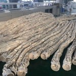 xếp-lọc-túi-số lượng lớn